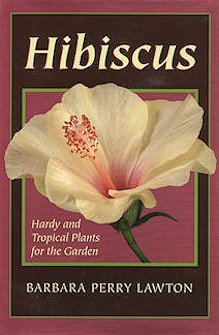 Hibiscus - Klik hier om dit boek te bestellen bij Bol.com