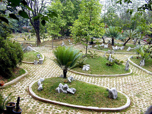 Deze foto toont een Chinese tuin met daarin Cycadeeën