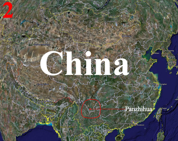 2) Het gebied waar de Cycas panzhihuaensis van nature voorkomt