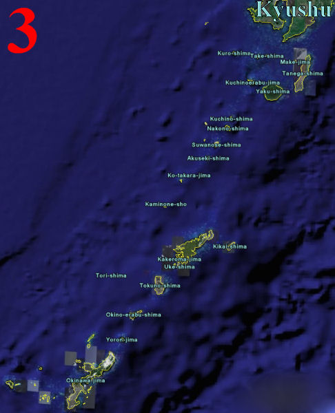 3) De zuidelijke eilanden van Japan vormen de natuurlijke biotoop van Cycas revoluta