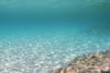 Een onderwater panorama
