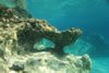 Onderwater bij Apella (Karpathos Griekenland)